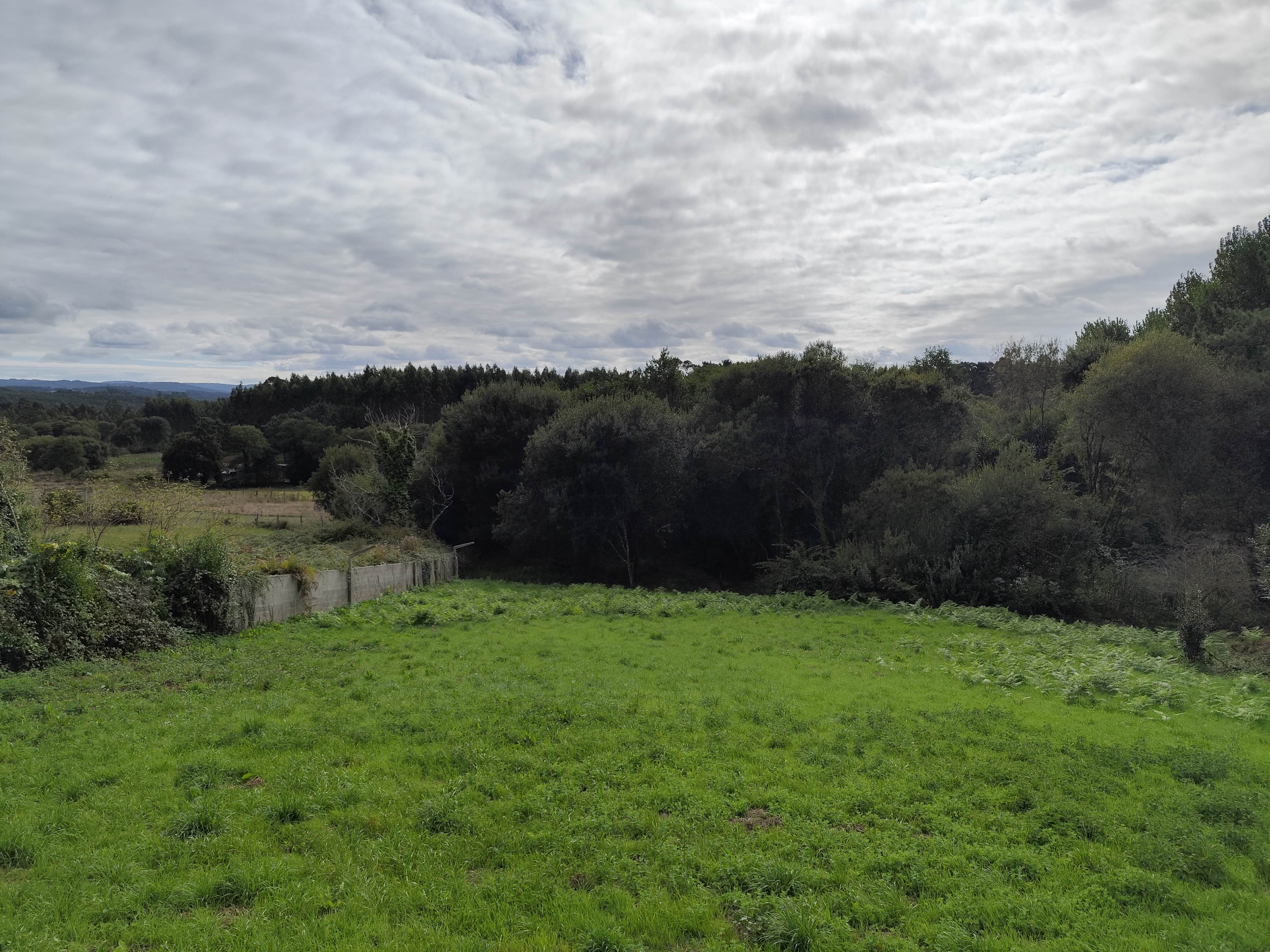 CASA CON 1.337 m² DE PARCELA Y HÓRREO – A LARACHA