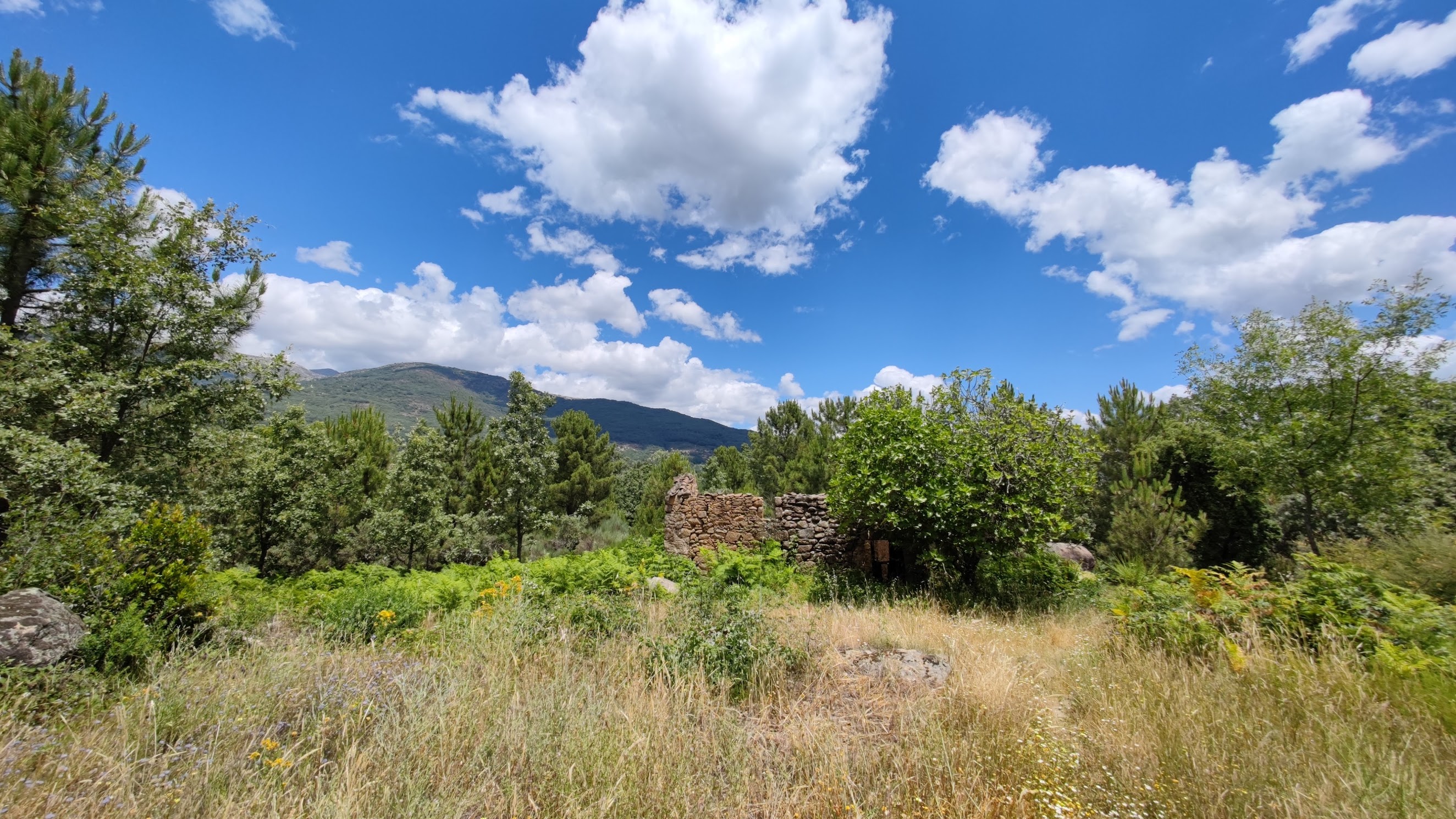 Finca de 2,1 ha en Valverde de la Vera, con pozo y proyecto residencial