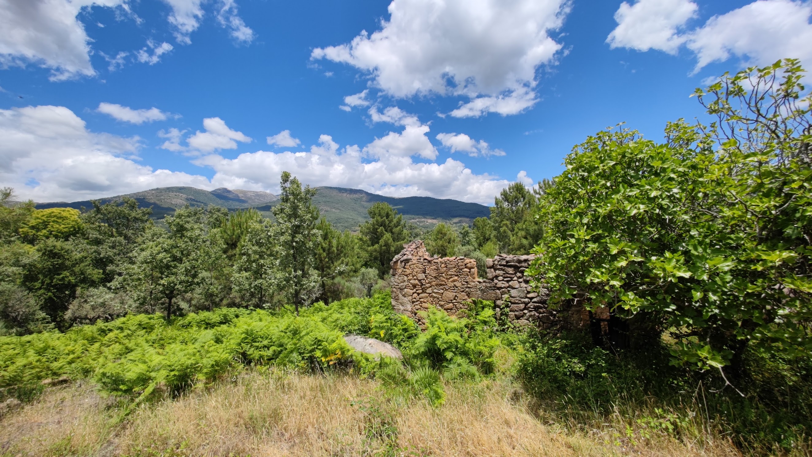 Finca de 2,1 ha en Valverde de la Vera, con pozo y proyecto residencial