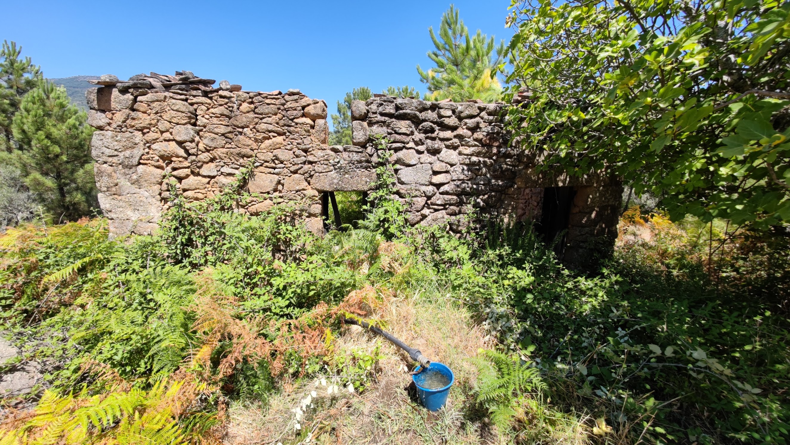 Finca de 2,1 ha en Valverde de la Vera, con pozo y proyecto residencial